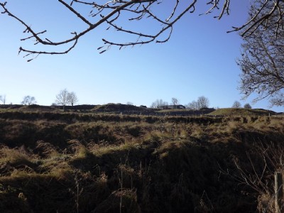 Shaft mounds