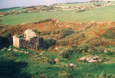 Porthmeor Stamps