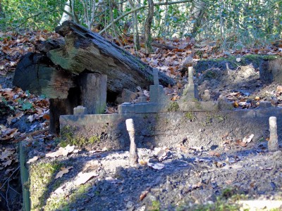 Photographs Of Potters Clay And Coal Company (The)