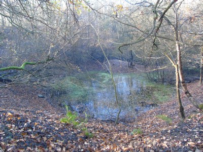 The now flooded and blocked coal drift north of Coppice Lane.