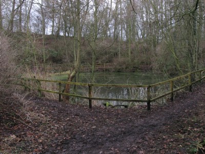 Now in the grounds of Preston Hall Museum