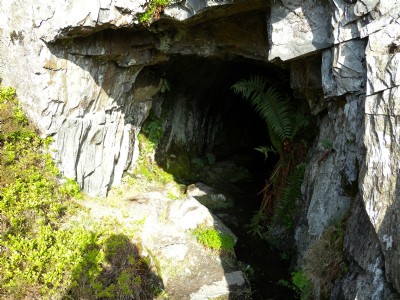 Tunnel