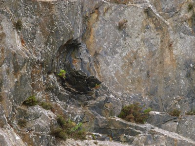 Photographs Of Prince Of Wales (Photo ref 52759)