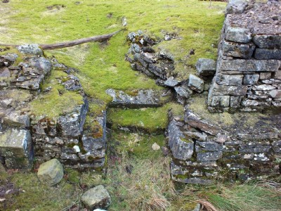 Steps