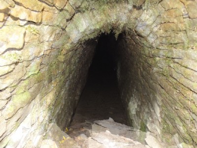 Level