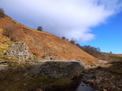 Mill Site