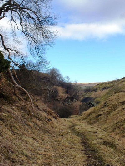 View to the site