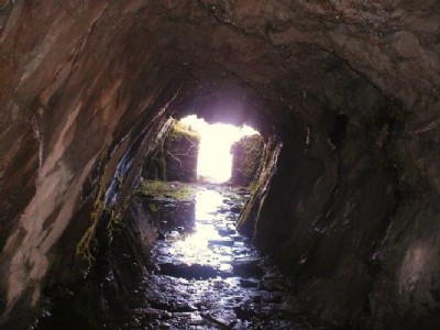 Photographs Of Rainsbarrow Wood