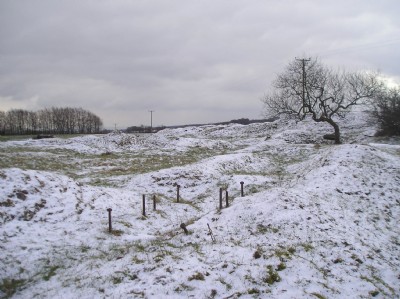 Surface Remains, 24-2-2012