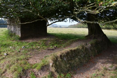 Photographs Of Raleigh's Cross