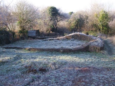 09.01.09 Ram Hill Pit, Horse gin remains