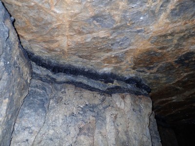 Photographs Of Raws Level