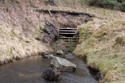Photographs Of Red Vein Level