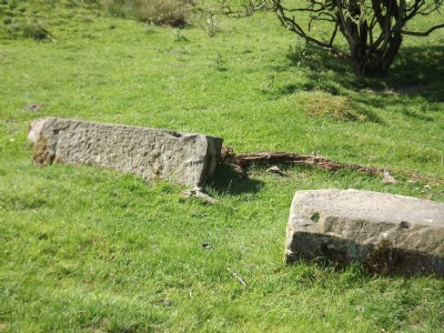 Photographs Of Redacre Pits (Photo ref 75726)