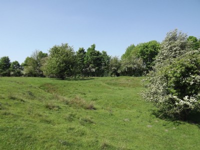Photographs Of Redacre Pits (Photo ref 75727)