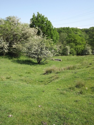 Photographs Of Redacre Pits (Photo ref 75729)
