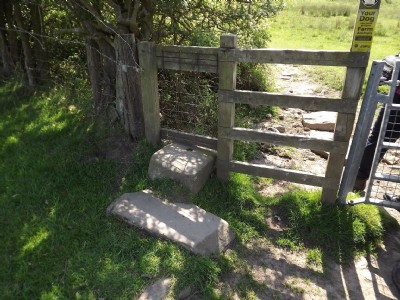 Photographs Of Redacre Pits (Photo ref 75730)