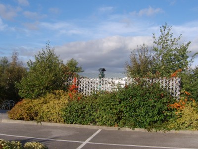 Photographs Of Redbrook