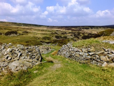 Photographs Of Reeve Edge