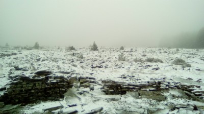 Rhiwbach