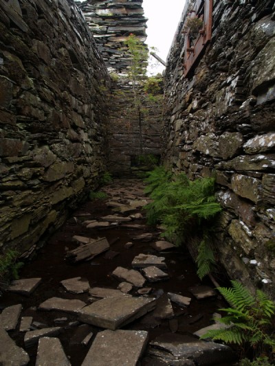 Rhos.