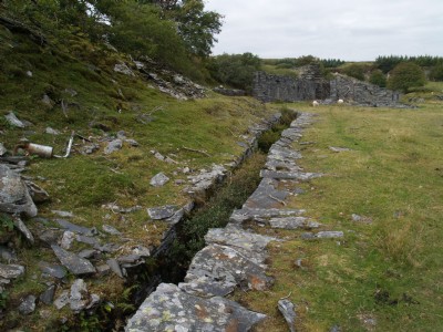 Rhos.