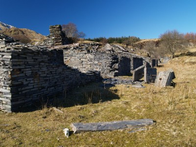 Photographs Of Rhos