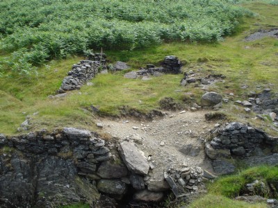 Photographs Of Rhyscog
