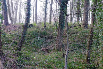 Photographs Of Riddings New Deeps