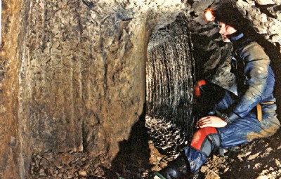 Coffin Level near a forhead
