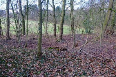 Photographs Of Ripley Pit (Riddings)