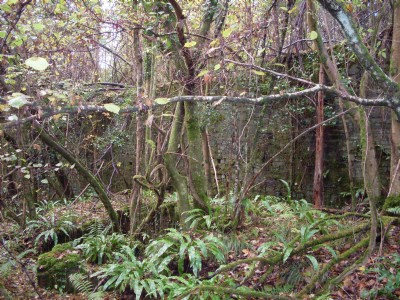 Robin Hood Deep Pit