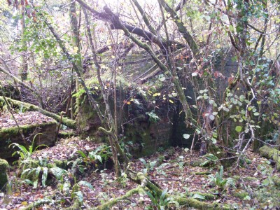 Robin Hood Deep Pit