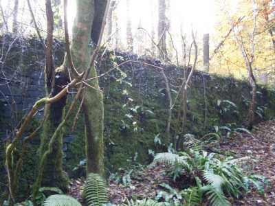 Robin Hood Deep Pit
