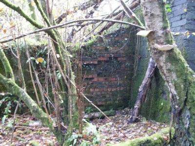 Photographs Of Robin Hood Deep Pit