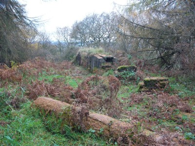 Photographs Of Roseberry