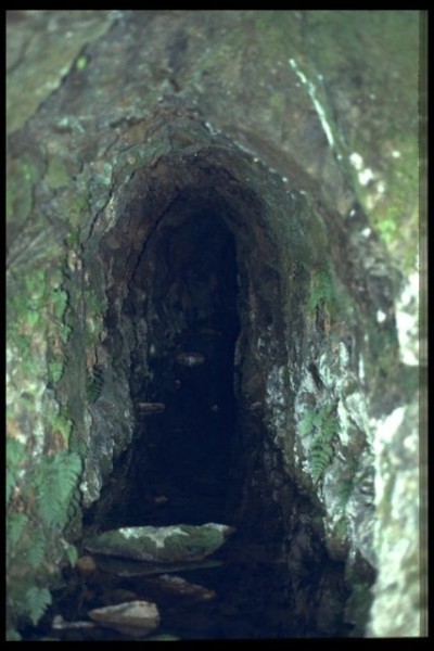 Historic Photographs Of Roughton Gill