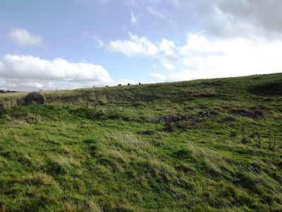 Photographs Of Royal Oak