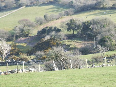 West Sharptor Mine.