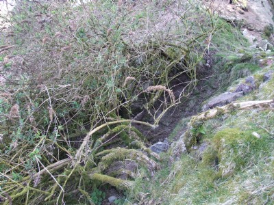 West Sharptor Mine.