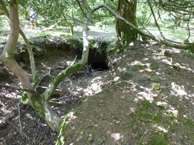 West Sharptor Mine Adit