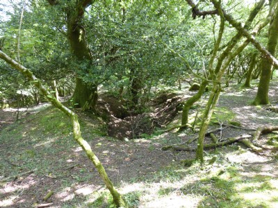 West Sharptor Mine Adit