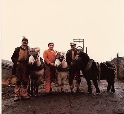 Last pit ponies to leave the Durham coal field
