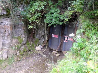 Sallet Hole No 1 2011