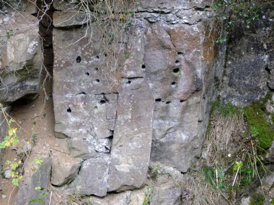 Sallet Hole No 1 2011