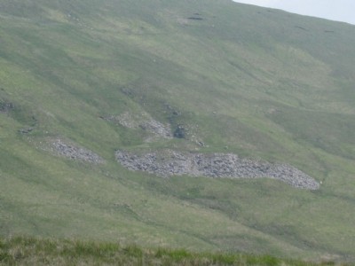 Photographs Of Sallows