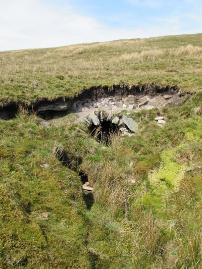 Collapsed Adit Portal