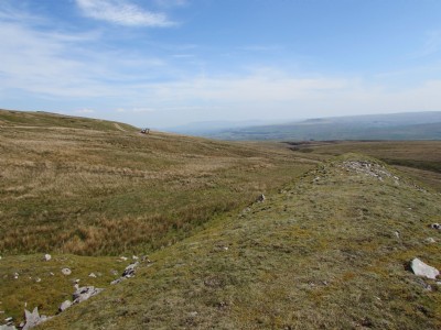 View off the top