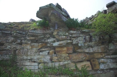 Photographs Of Scotgate Ash