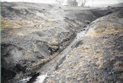 Sedling Burn 1992
